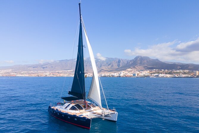 Tenerife Whales and Dolphins Watching Experience in Catamaran - On Board Catering: Sandwiches, Beer, and Soft Drinks That Actually Help