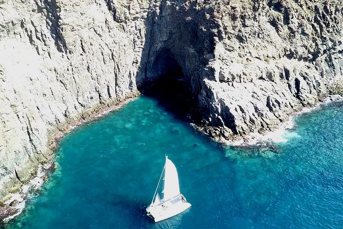 Tenerife Whales and Dolphins Watching Experience in Catamaran - The Cove Stop: Swimming and Snorkeling Without the Stress