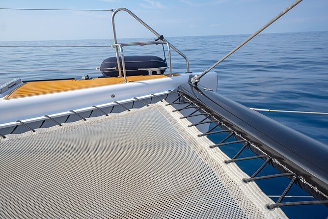 Tenerife Whales and Dolphins Watching Experience in Catamaran - Wildlife Viewing Tips That Make a Real Difference