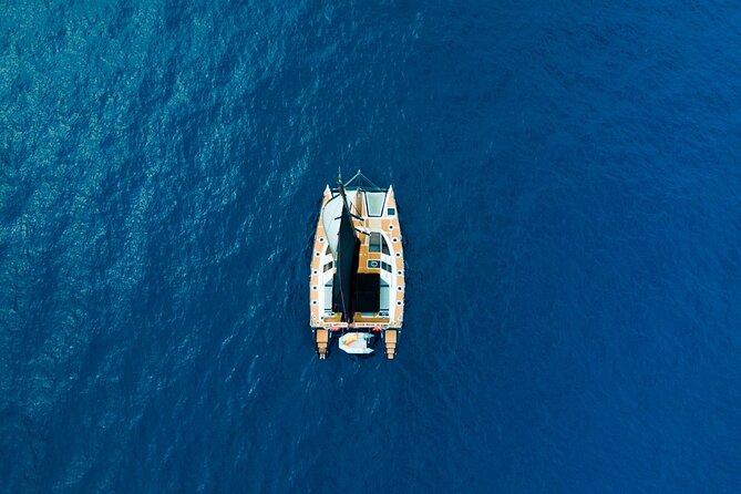 Tenerife Whales and Dolphins Watching Experience in Catamaran - Small-Group Etiquette: Keep the Moment Quiet