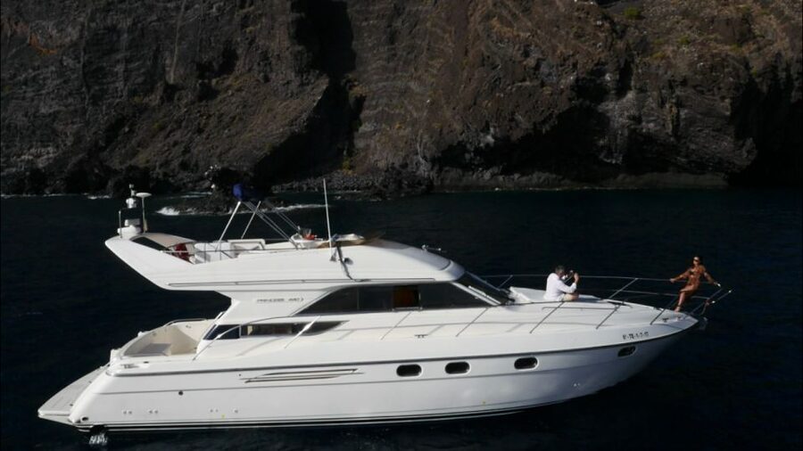 Tenerife: Whales and Snorkeling Tour on a Luxury Yacht - Luxury Yacht Whale Watching Off Tenerife’s South Coast