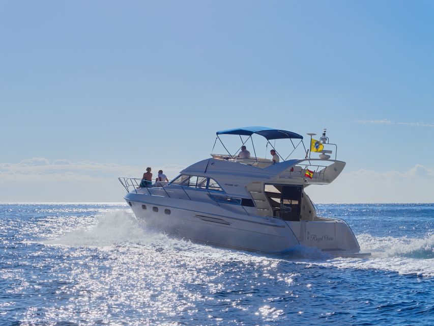 Tenerife: Whales and Snorkeling Tour on a Luxury Yacht - FAQ