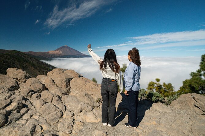 Tenerife Wonder Walk - Key highlights you should know before you go