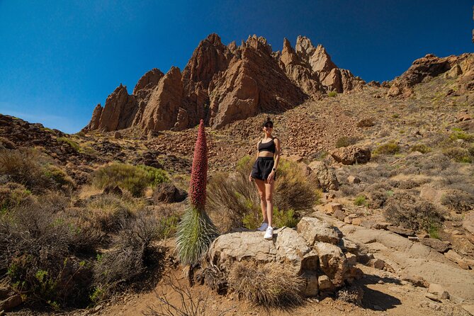 Tenerife Wonder Walk - Teide National Park: volcanic walks and the optional cable car up to 3700m