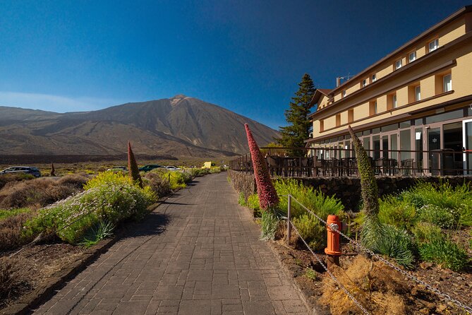 Tenerife Wonder Walk - Mirador de Chipeque and Corona Forestal: pines, viewpoints, and the Tenerife symbol bird