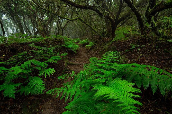 Tenerife Wonder Walk - San Cristóbal de La Laguna: UNESCO strolling breaks up the hikes