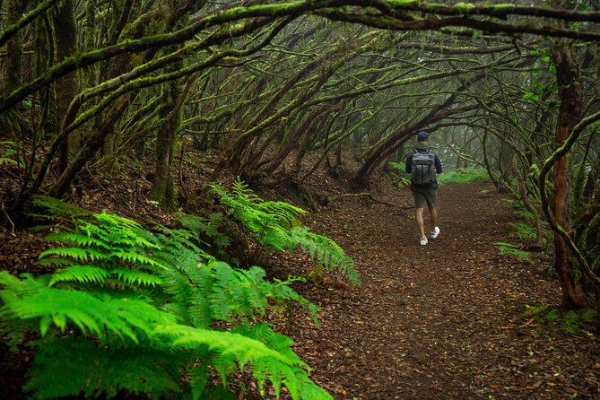 Tenerife Wonder Walk - What makes Victor’s guiding style matter (beyond facts)
