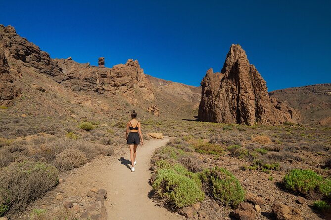 Tenerife Wonder Walk - Price and value: why $240.05 can make sense on Tenerife
