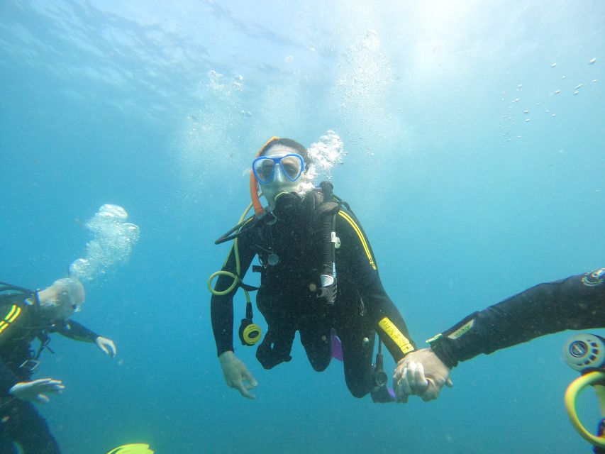 Tenerife: Your First Scuba Diving Experience in Turtle Area - Who should book (and who should skip)