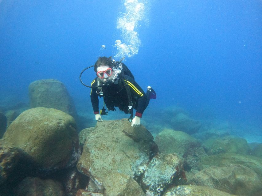 Tenerife: Your First Scuba Diving Experience in Turtle Area - Turtle Area Tenerife: what makes this outing feel different