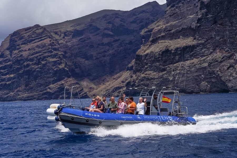Teno to Masca: Boat trip with snorkeling & drinks - Los Gigantes cliffs and marine life: what to watch for