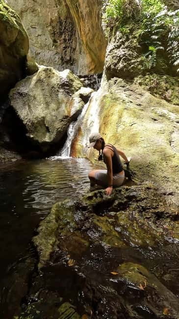 Teno Waterfalls Hiking Tour: Tropical Jungle Adventure - Key points to know before you go