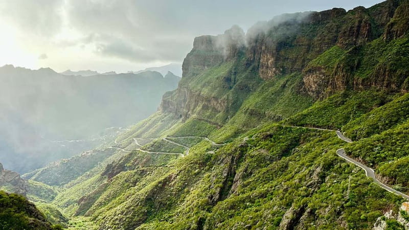 Teno Waterfalls Hiking Tour: Tropical Jungle Adventure - Plantations to jungle edge: the climb that builds momentum