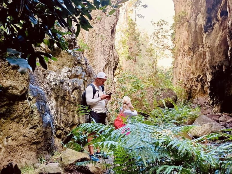 Teno Waterfalls Hiking Tour: Tropical Jungle Adventure - Dry riverbed walking: where the gorge starts to feel real