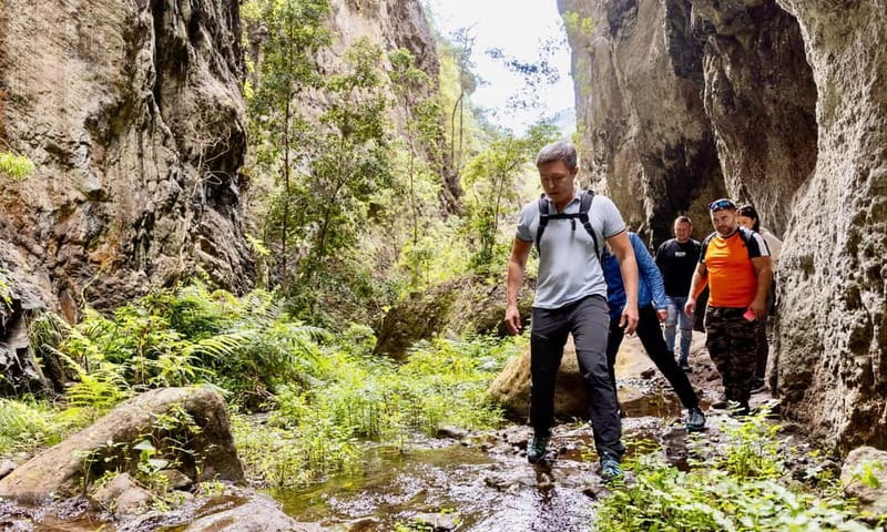 Teno Waterfalls Hiking Tour: Tropical Jungle Adventure - Hidden corners and extra guided walking