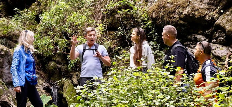 Teno Waterfalls Hiking Tour: Tropical Jungle Adventure - How hard is it really? (7.2 km, 350 m, moderate climbing)