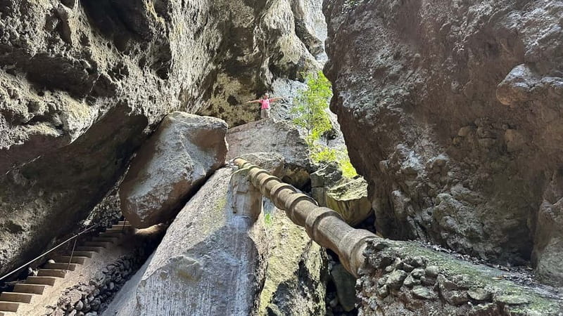 Teno Waterfalls Hiking Tour: Tropical Jungle Adventure - What to bring so you enjoy the wet part