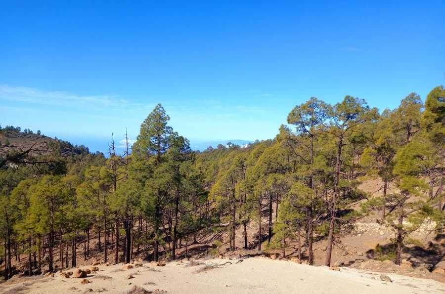 The Wow Factor Walk - After the Climb: Descending on a Majestic Mountain Trail