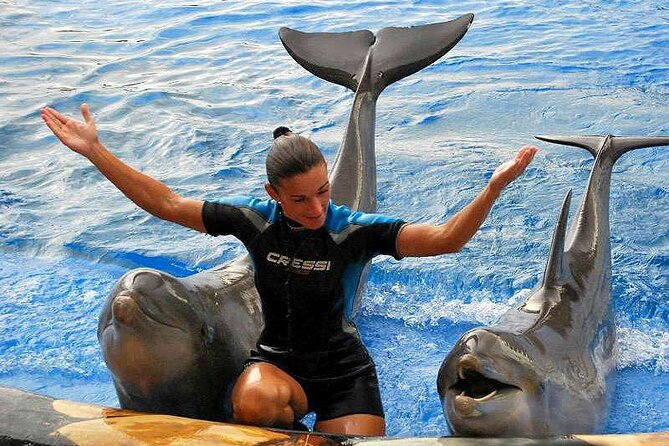 Ticket to Aqualand Tenerife - Aqualand Costa Adeje entrance: what 6 hours really buys you