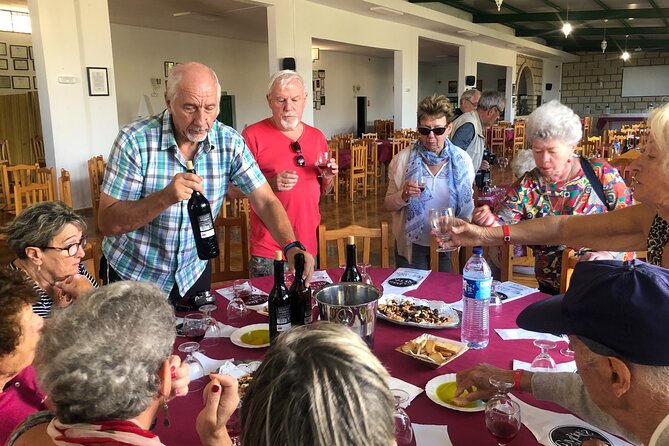 Tour Visiting banana plantation and winery in Tenerife - A Banana-and-Wine Morning in Tenerife