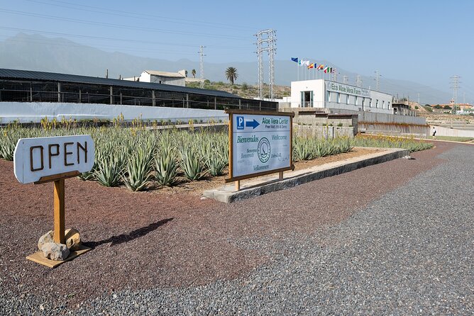 Tour Visiting banana plantation and winery in Tenerife - Stop 2: The drive to Vilaflor and the Lagar de Chasna wine tasting