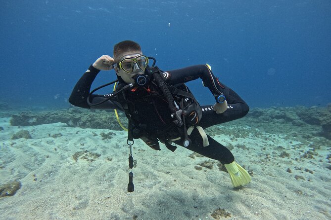 Try Dive in Abades Bay with a private instructor - Price and What You Actually Get for $98.40
