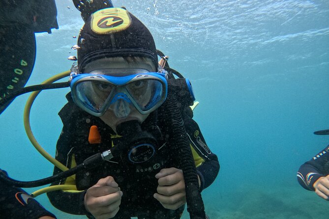 Try Dive in Abades Bay with a private instructor - Getting to Abades and Making It a Great Day