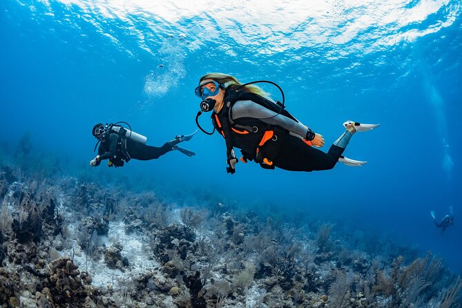 Try Dive - PADI Discover Scuba Diving in Tenerife - Meet at Scubanana in Radazul at 3:00 pm