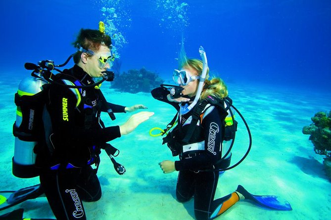 Try Dive - PADI Discover Scuba Diving in Tenerife - Price and value: $156.07 for a full first-timer package