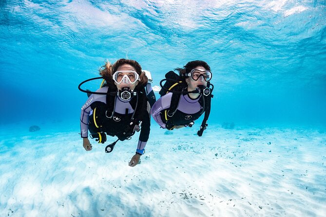 Try Dive - PADI Discover Scuba Diving in Tenerife - Gear included: what you should check before you go