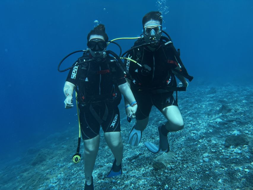 Try diving for the first time in turtle area - On land skills: why the dry exercises make your water time easier