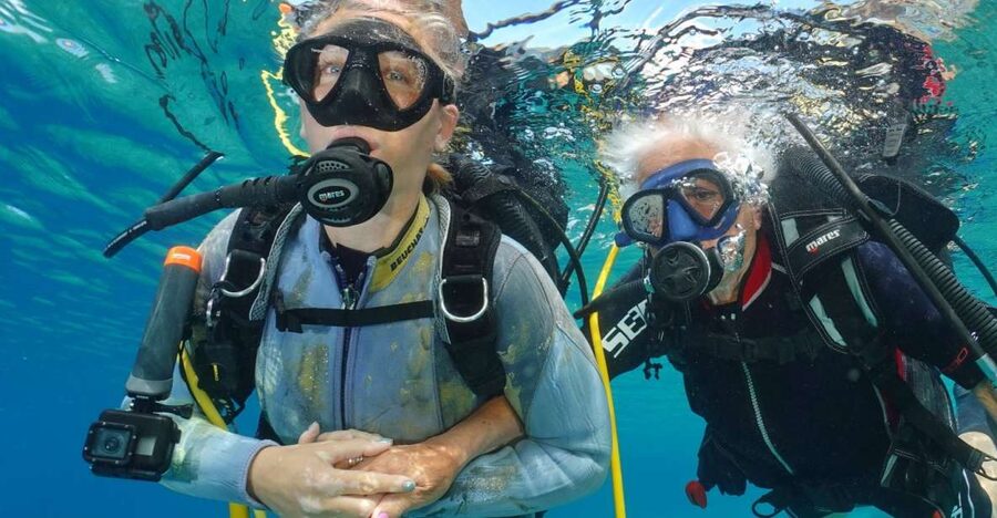 Try diving for the first time in turtle area - Getting comfortable with your kit: neoprene, fins, and the small things that matter