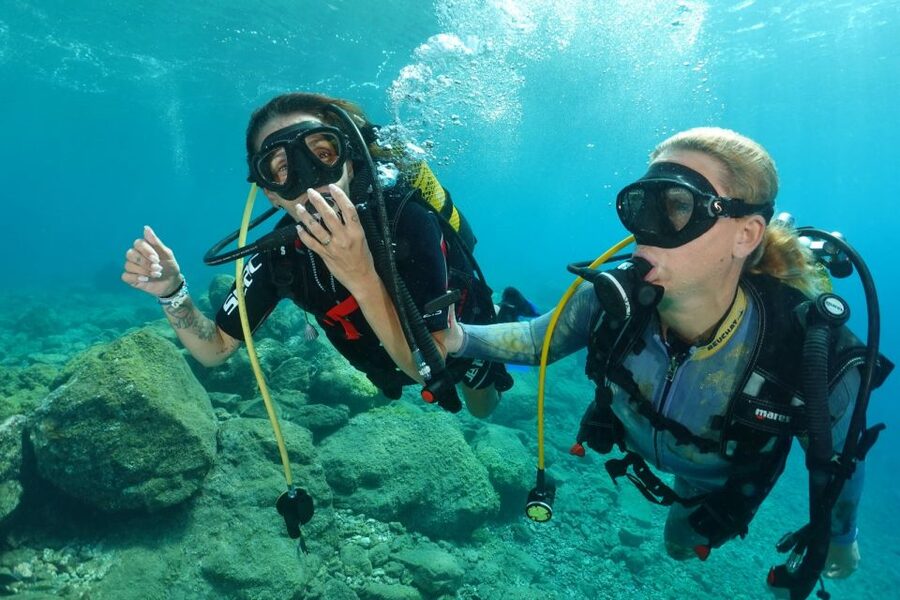 Try diving for the first time in turtle area - Descending at a relaxed pace: how the first underwater minutes are structured