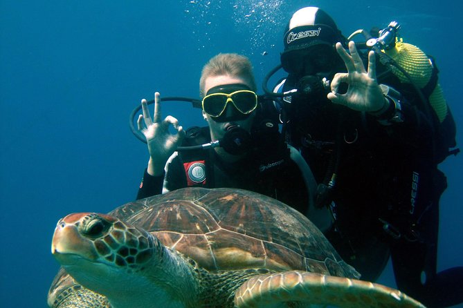 Try Scuba Diving in a turtle area (boat) - Key highlights you’ll actually feel