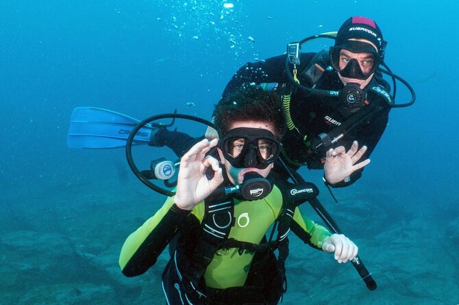 Try Scuba Diving in a turtle area (boat) - Costa Adeje to a quiet turtle-area setup: what this outing feels like