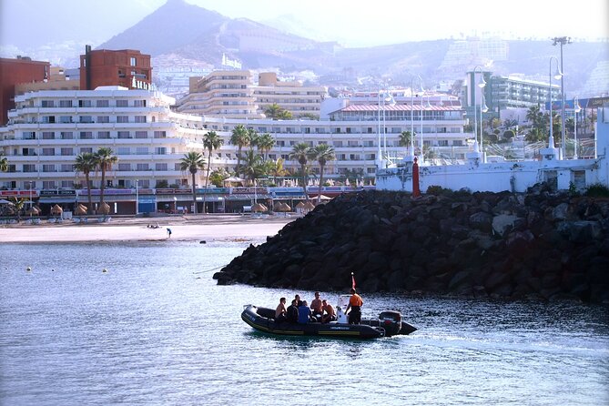 Try Scuba Diving in a turtle area (boat) - Equipment, insurance, and what’s actually included