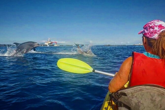 Turtle and Dolphin Watching Kayaking and Snorkeling Tour - From Arenilla to Turtle Bay: how the kayak portion really feels