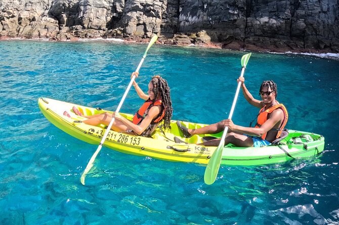 Turtle and Dolphin Watching Kayaking and Snorkeling Tour - Who this tour suits best on Tenerife