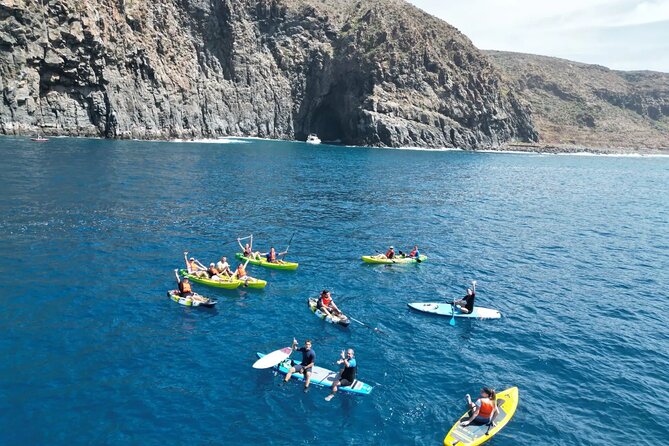 Turtle and Dolphin Watching Kayaking and Snorkeling Tour - Weather and timing: the small details that decide the day
