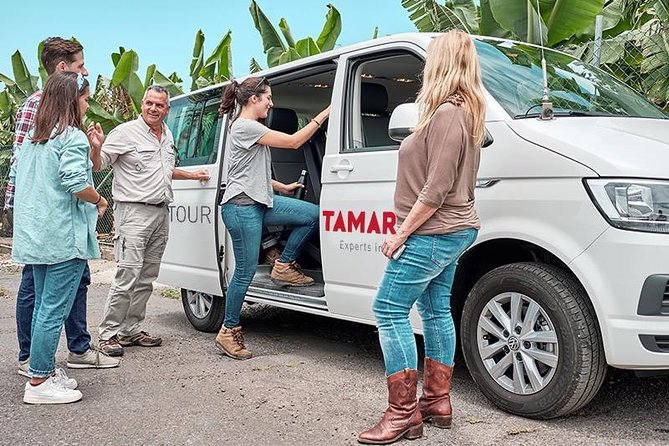 VIP Grand Tour Isla de Tenerife from South Tenerife - Key points to know before you go