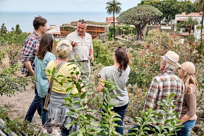 VIP Grand Tour Isla de Tenerife from South Tenerife - VIP Grand Tour From South Tenerife: how the day runs
