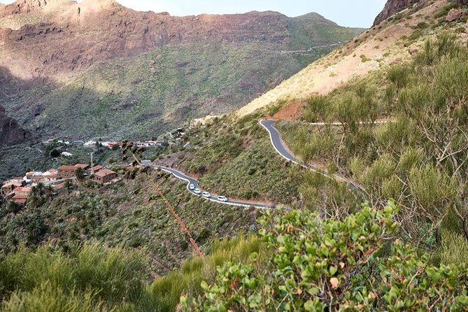 VIP Grand Tour Isla de Tenerife from South Tenerife - Masca Valley: native architecture and a small-hamlet feel