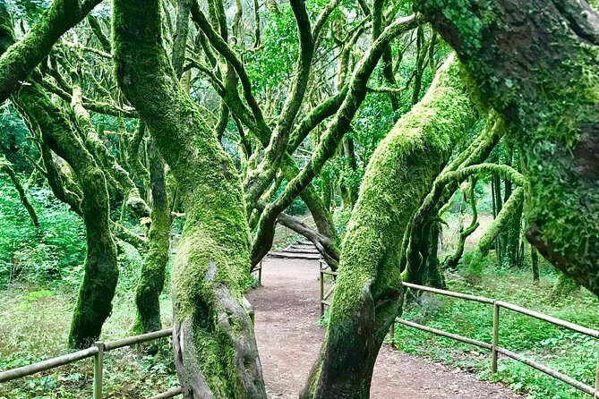 VIP tour of La Gomera from Tenerife - San Sebastián and Roque de Agando: the island’s famous rock, explained
