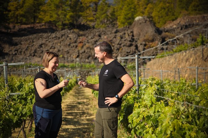 Visit to Arafo Mountain Vineyard and Organic Wine Tasting - Key highlights you’ll feel right away