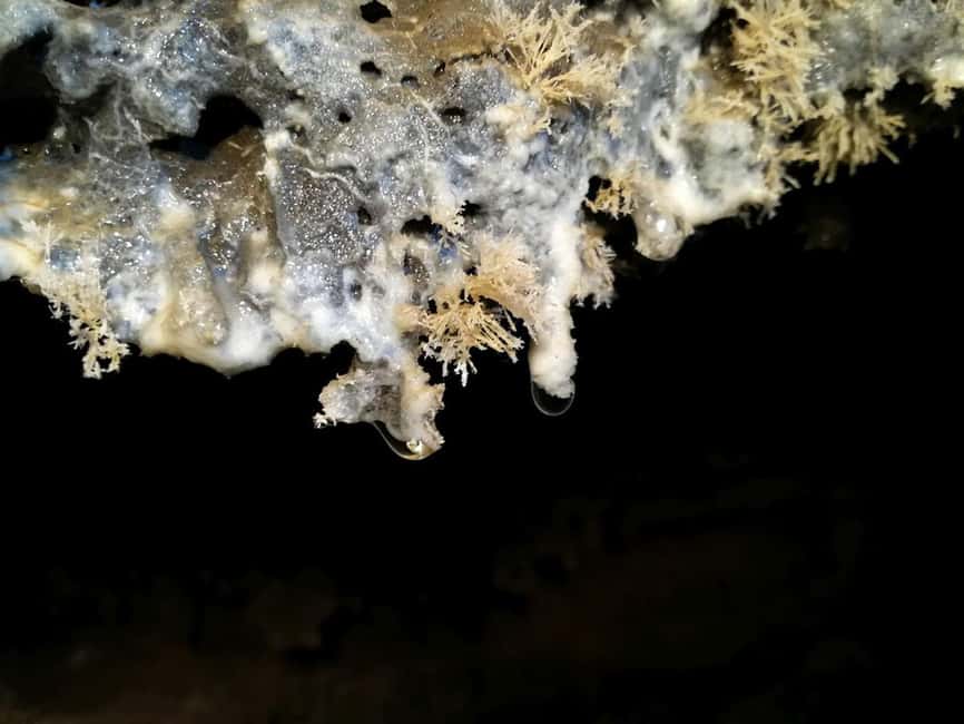 Volcanic caving Cueva de Las Palomas (ES-EN) LA PALMA - Entering the cave: about 280 m downhill with helmet lights