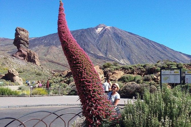 Volcano Teide - Masca ravine. Guided Tour from Puerto de la Cruz - Tenerife - Masca Valley village in 1 hour: the famous pirates, with tight timing