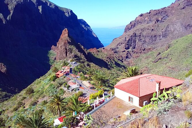 Volcano Teide - Masca ravine. Guided Tour from Puerto de la Cruz - Tenerife - Icod de los Vinos and El Drago Milenario: tree plus wine country