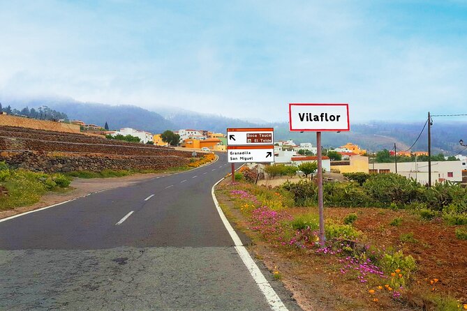 Volcano Teide - Masca ravine. Guided Tour from Puerto de la Cruz - Tenerife - Price and value: what $77.24 gets you (and what it doesn’t)