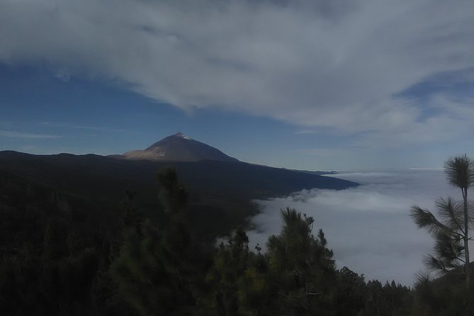 Volcano Teide National Park And North Of The Island VIP TOUR - Why This Teide VIP Tour Feels Like the Right Level of Effort