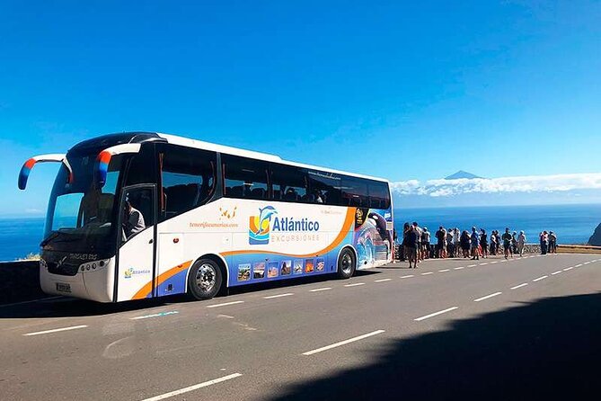 Volcano Teide National Park Guided Tour from Puerto de la Cruz - Tenerife North - What to bring and how to pace your day